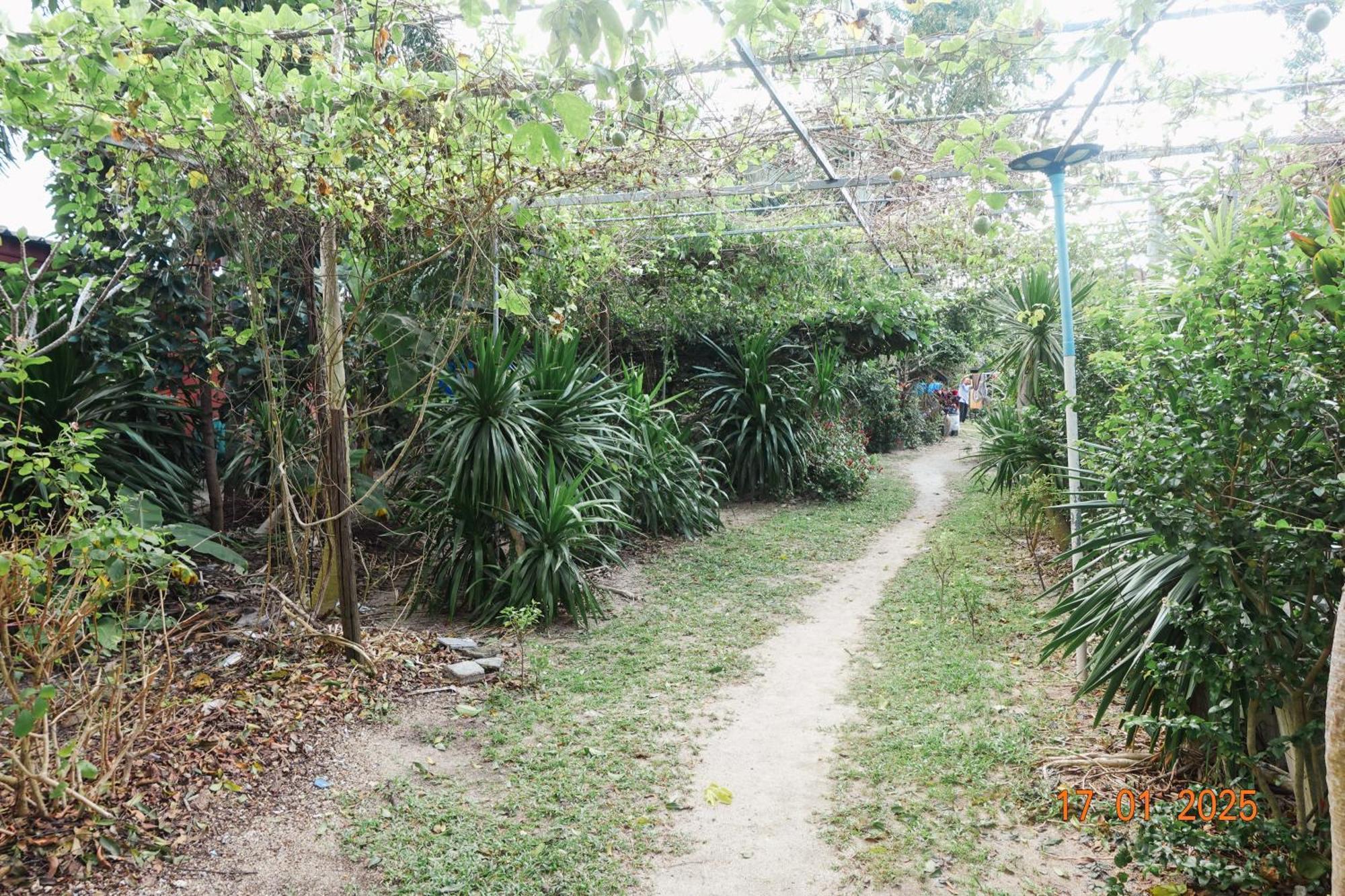 Subsavet Village Ko Pha Ngan Exterior photo